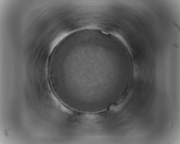 X0000103140910200808221213