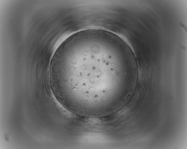 X0000103140911200808221213