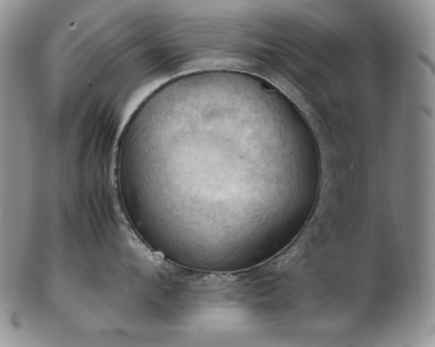 X0000103140912200808221213