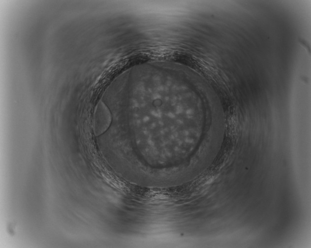 X0000103140913200808221212