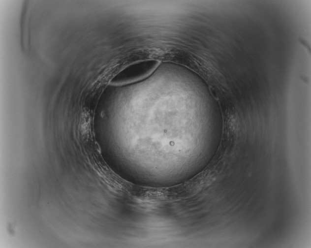 X0000103140914200808221212