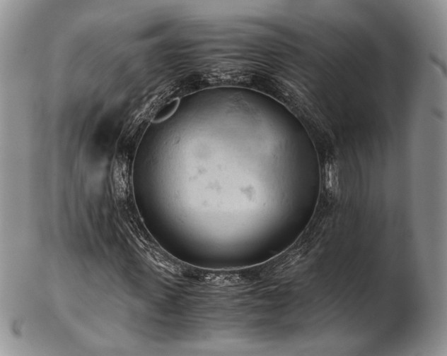 X0000103140915200808221212