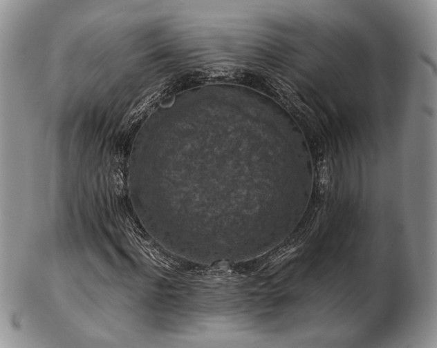 X0000103140916200808221212