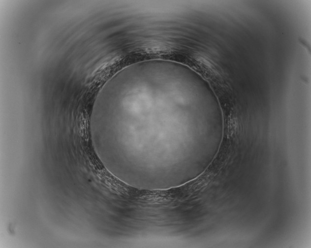 X0000103140917200808221212