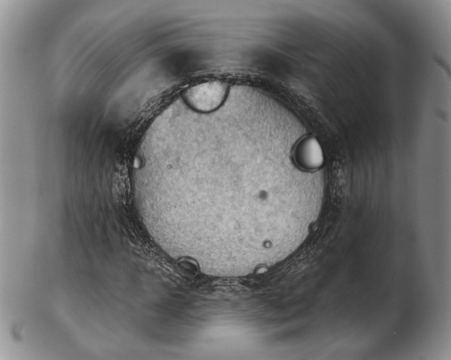 X0000103140918200808221212