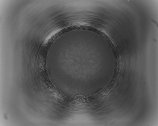 X0000103140919200808221212