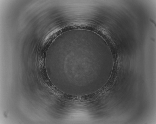 X0000103140920200808221212