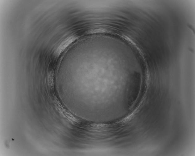 X0000103140921200808221212