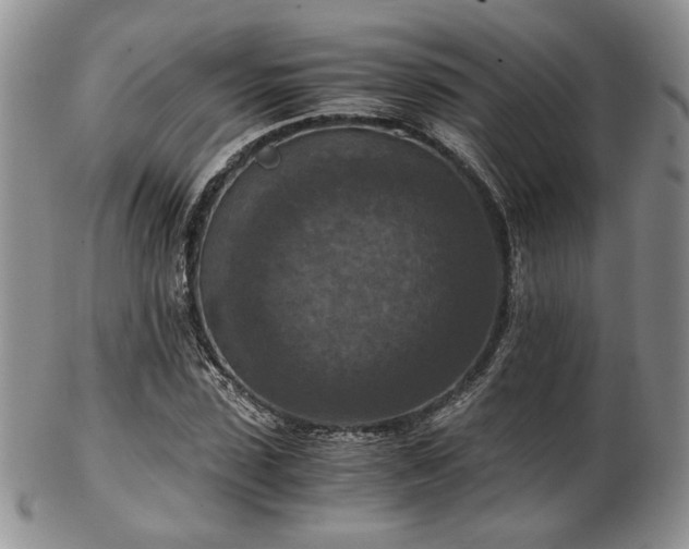 X0000103140923200808221212