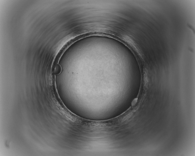 X0000103140924200808221213