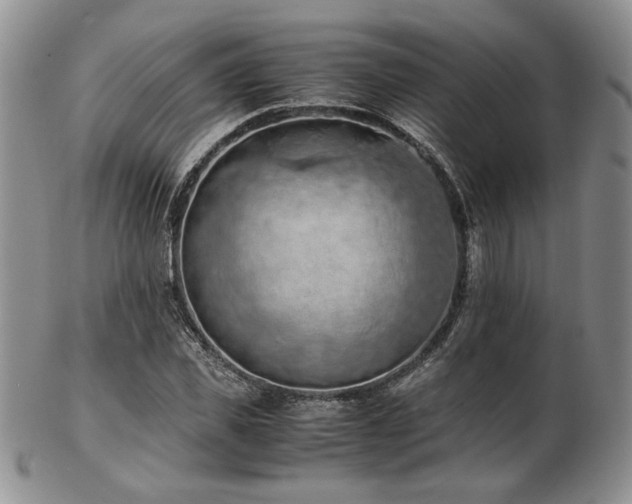 X0000103140925200808221213