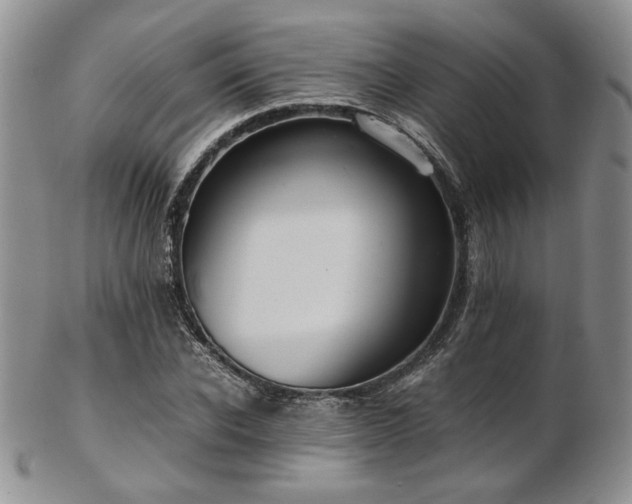 X0000103140926200808221213