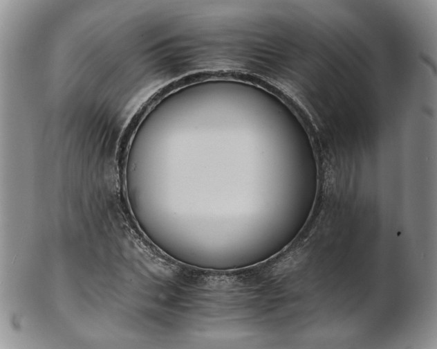 X0000103140927200808221213