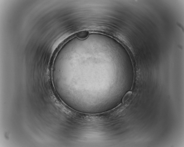 X0000103140928200808221213