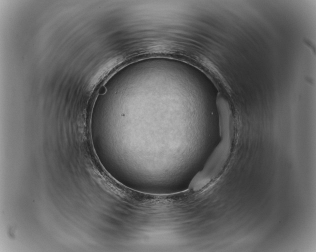 X0000103140930200808221213