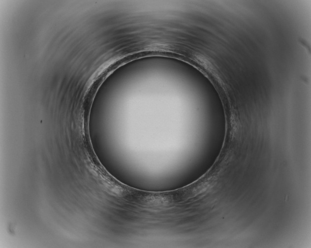 X0000103140931200808221213