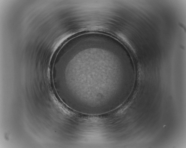 X0000103140932200808221213