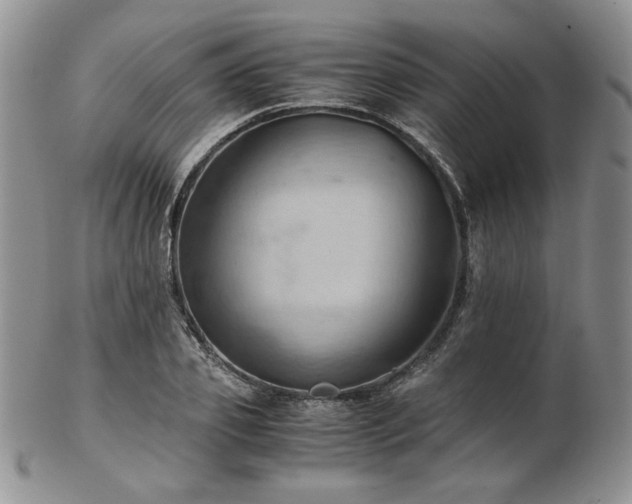 X0000103140933200808221213