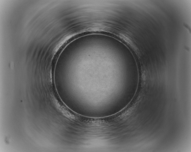 X0000103140934200808221213