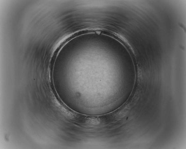 X0000103140935200808221213