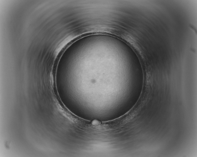 X0000103140936200808221213