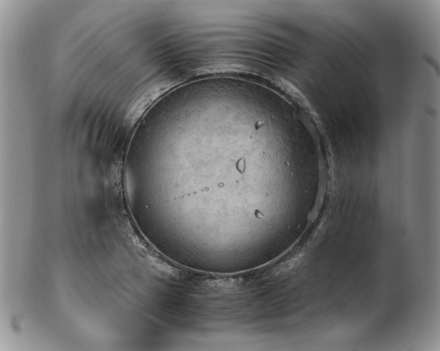 X0000103140937200808221213