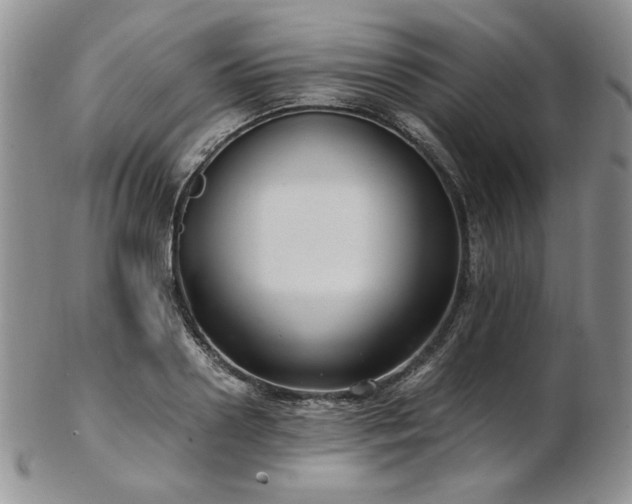 X0000103140938200808221213