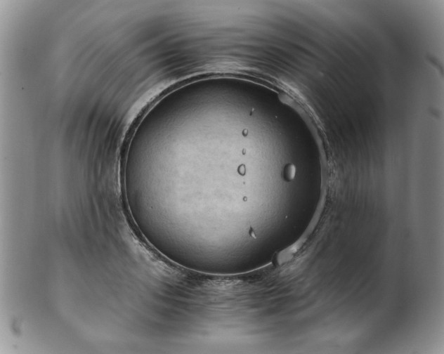 X0000103140939200808221213