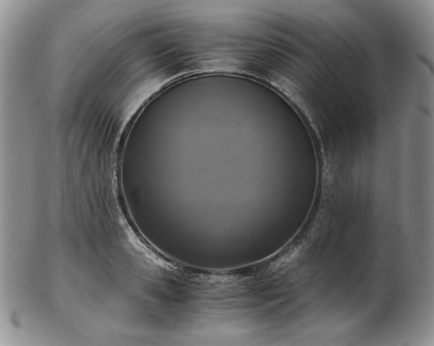 X0000103140941200808221213