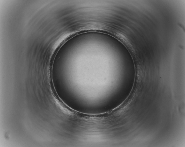 X0000103140942200808221213