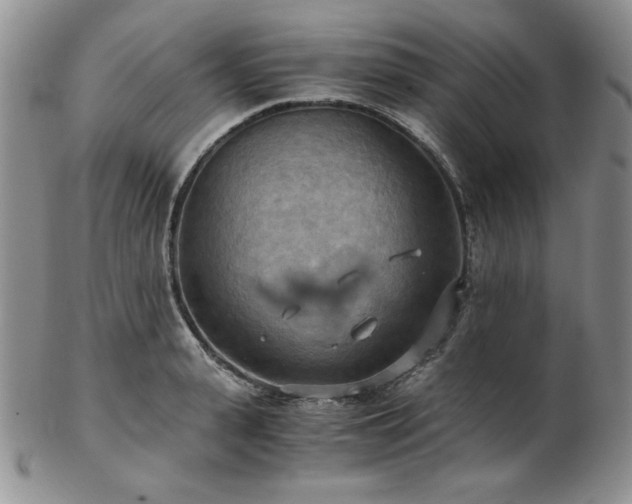 X0000103140943200808221213