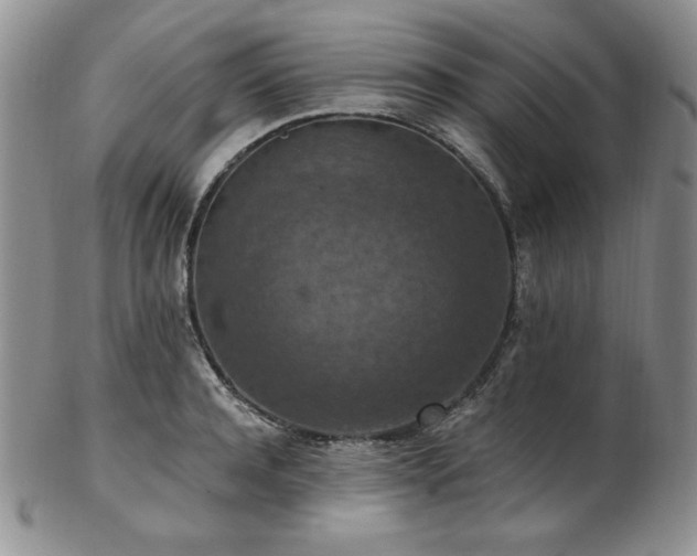 X0000103140944200808221213