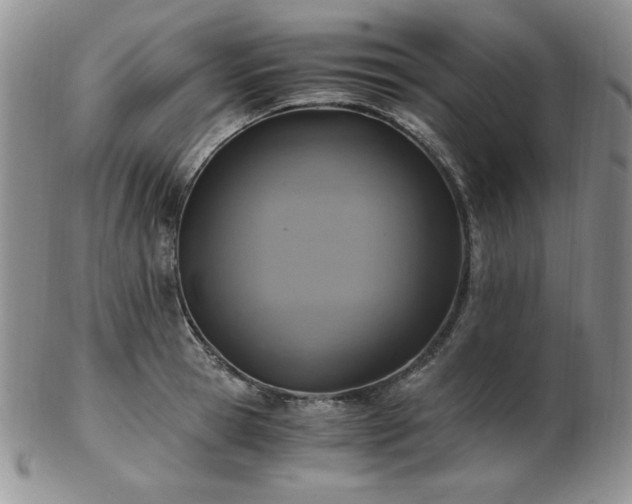 X0000103140945200808221213