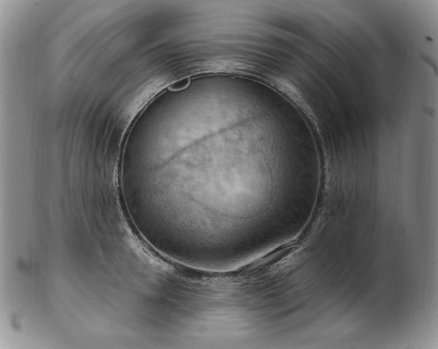 X0000103140946200808221213