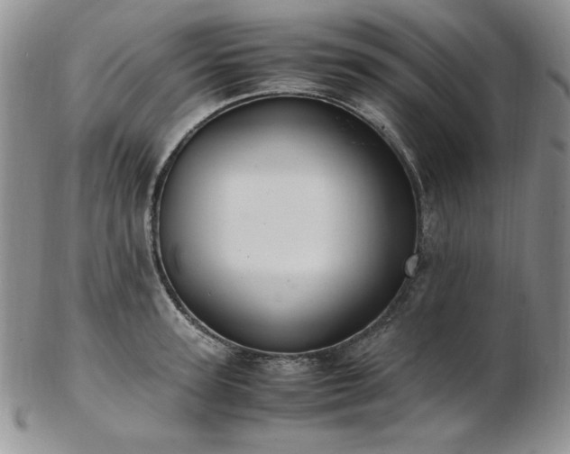 X0000103140947200808221213