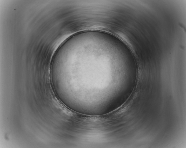 X0000103140948200808221213