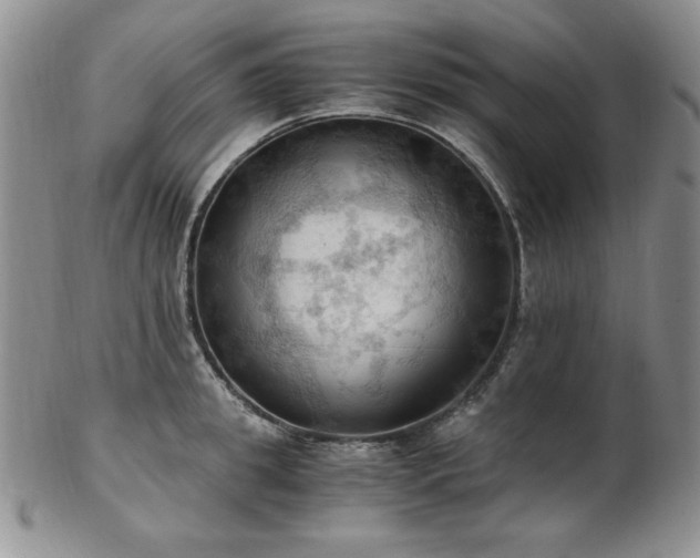 X0000103140949200808221213