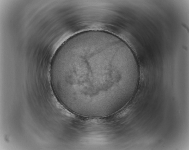 X0000103140950200808221213