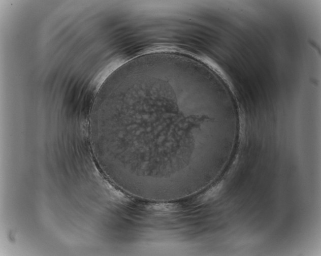 X0000103140953200808221213