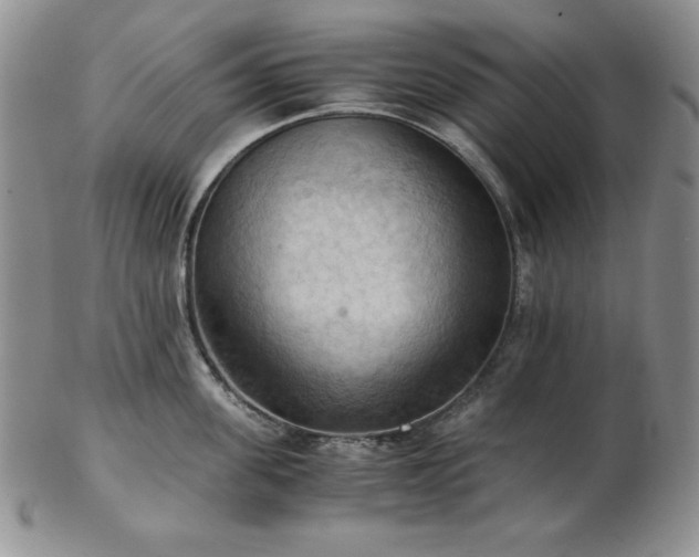 X0000103140955200808221213