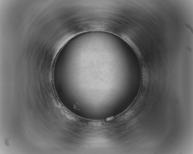 X0000103140956200808221213