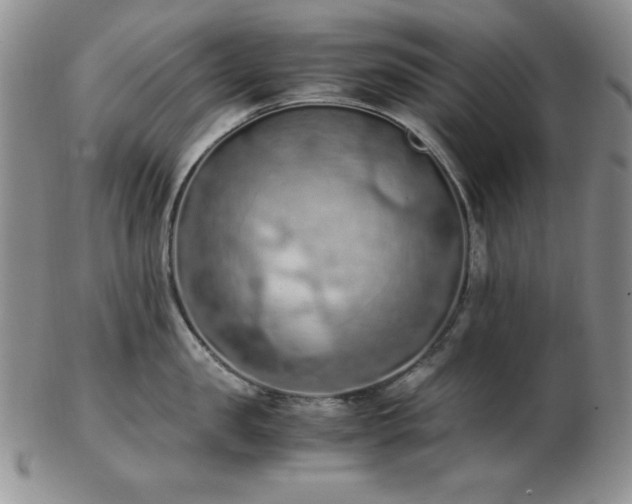 X0000103140957200808221213