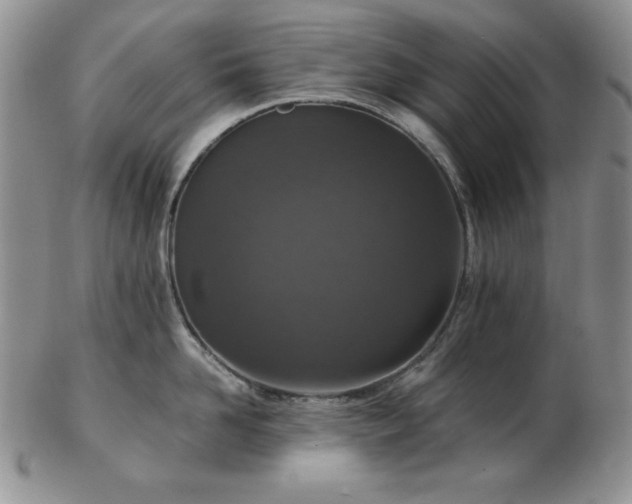 X0000103140958200808221213