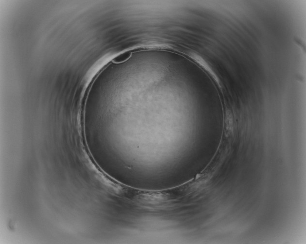 X0000103140959200808221213