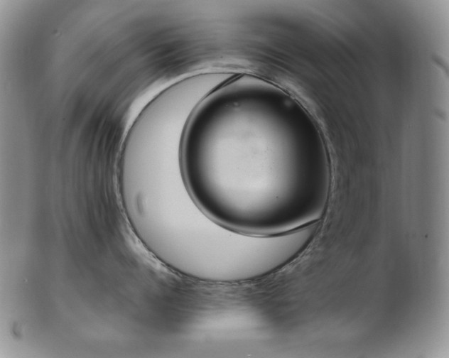 X0000103140960200808221213