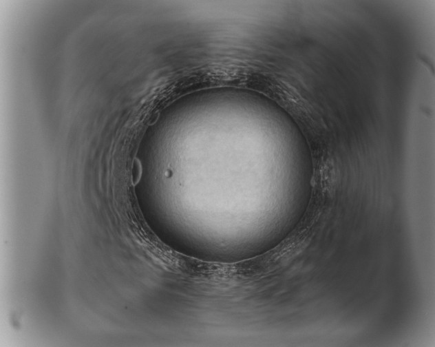 X0000103140961200808221212