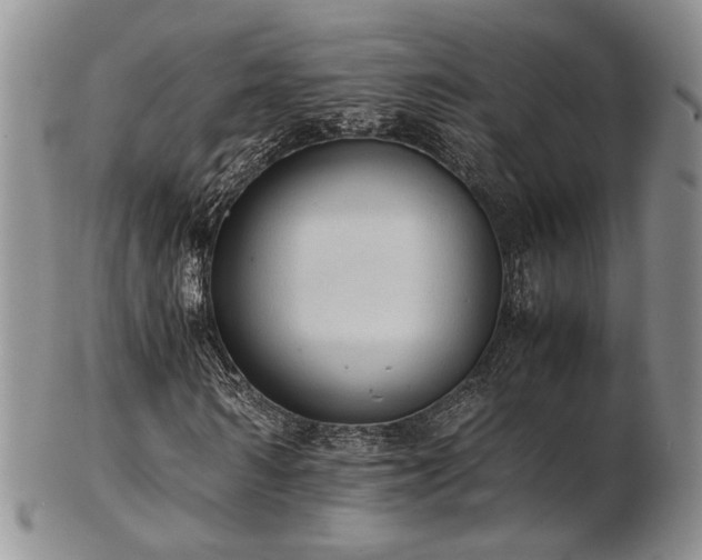 X0000103140962200808221212