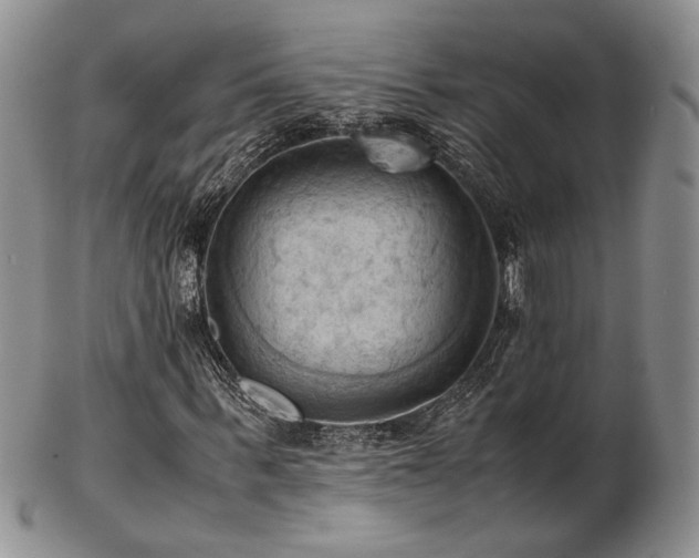 X0000103140963200808221212