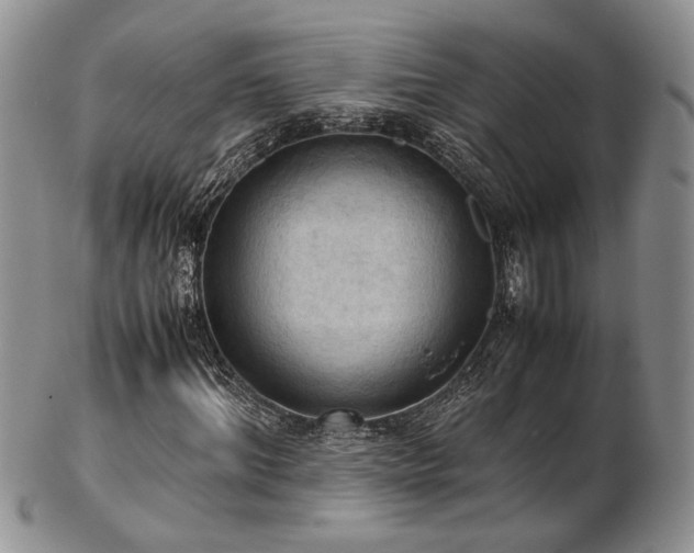 X0000103140964200808221212