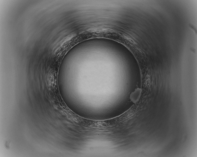 X0000103140966200808221212